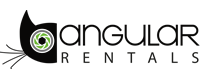 Logo Angular
