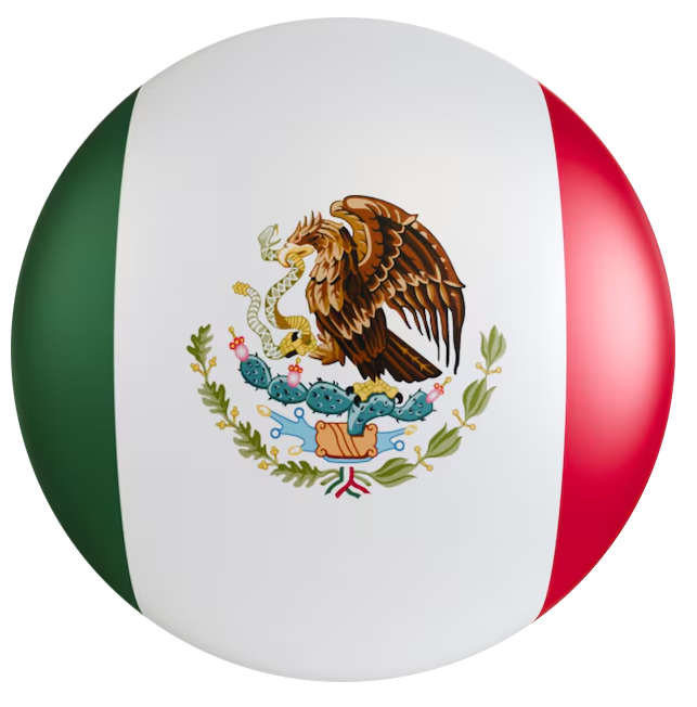 Idioma Espanol